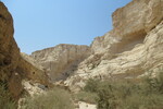 23.08.2023: Negev-Wste - En-Advat-Canyon