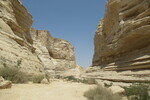 23.08.2023: Negev-Wste - En-Advat-Canyon
