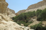 23.08.2023: Negev-Wste - En-Advat-Canyon