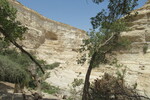 23.08.2023: Negev-Wste - En-Advat-Canyon