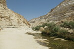 23.08.2023: Negev-Wste - En-Advat-Canyon