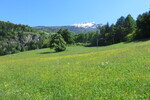 21.05.2016: Sdtirol - Vinschgau - im Etschtal bei Laas