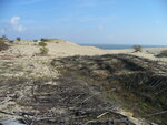 21.09.2006: Kurische Nehrung - Sanddne im russischen Teil der Nehrung