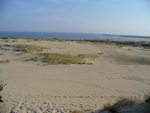 21.09.2006: Kurische Nehrung - Kurisches Haff bei Nidden (Nida)