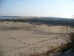21.09.2006: Kurische Nehrung - bei Nidden (Nida)