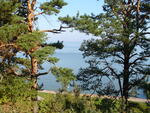22.09.2006: Kurische Nehrung - Kurisches Haff bei Nidden (Nida)