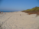 22.09.2006: Kurische Nehrung - Ostseestrand bei Nidden (Nida)