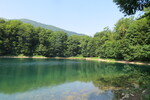 22.07.2019: Biogradska Gora - Biogradsko Jezero