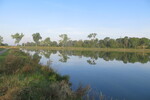 23.08.2019: Julianakanal - am Julianakanal oberhalb der Echter Brcke