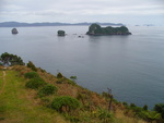 13.01.2006: Coromandel-Halbinsel - Kste der Cathedral Cove