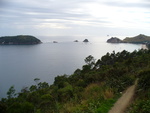 13.01.2006: Coromandel-Halbinsel - Kste der Cathedral Cove