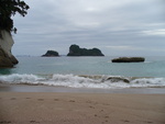 13.01.2006: Coromandel-Halbinsel - am Strand der Cathedral Cove