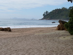 13.01.2006: Coromandel-Halbinsel - am Strand der Cathedral Cove