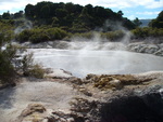 15.01.2006: Rotorua - im Vulkangebiet