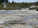15.01.2006: Rotorua - im Vulkangebiet