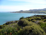 22.01.2006: Northland - Kste