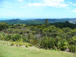 22.01.2006: Northland - Blick ber Wald zur Kste