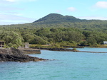 28.01.2006: Rangitoto Island - Blick von der Kste zum ehemaligen Krater