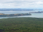 28.01.2006: Rangitoto Island - Blick aufs Meer