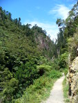 06.02.2006: Karangahake Gorge - Schlucht des Waitawheta River