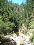 06.02.2006: Karangahake Gorge - Schlucht des Waitawheta River