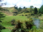 11.02.2006: Sonstiges - Waikato River