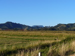 24.02.2006: Coromandel-Halbinsel - Zufahrt zur Halbinsel