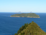 25.02.2006: Coromandel-Halbinsel - Blick vom Mount Paku auf Shoe Island und die Alderman Islands