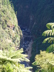 05.03.2006: Karangahake Gorge - Blick ins Tal des Waitawheta River