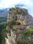 25.03.2006: Blue Mountains (bei Sydney) - Felsformation