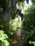 08.04.2006: Waitomo District - Schlucht