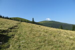16.08.2017: Zibinsgebirge - sdlich der Hohen Rinne