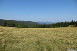 16.08.2017: Zibinsgebirge - sdlich der Hohen Rinne