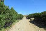 19.08.2017: Nationalpark Bucegi - Wanderweg zwischen Cabana Piatra Arsă und Caraiman-Massiv