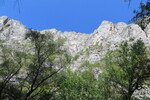 22.08.2017: Thorenburger Schlucht - Felsen ber der Schlucht