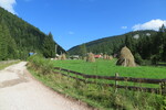 24.08.2017: Nationalpark Apuseni - Bergdorf Casa de Piatră