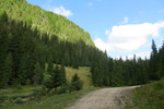 24.08.2017: Nationalpark Apuseni - oberhalb von Casa de Piatră