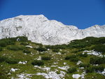 05.08.2007: nahe des Bavški Grintavec