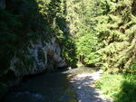 19.07.2006: Slowakisches Paradies - im Hernad-Durchbruch