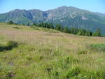 28.07.2006: Niedere Tatra - nahe des Ďumbier