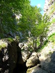 28.07.2006: Kleine Fatra - Schlucht Jánošíkove diery