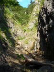 28.07.2006: Kleine Fatra - Schlucht Jánošíkove diery