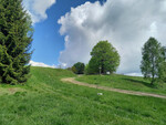 29.05.2025: Kriegswaldweg in Rbenau kurz nach der Brcke; links CZ, rechts DE