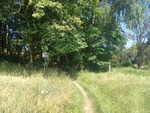 05.07.2025: Pfad zwischen Grth und  Grn (Doubrava)