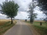 15.07.2025: deutscher und franzsicher Grenzstein am Weg zwischen Scheuerwald und Silwingen