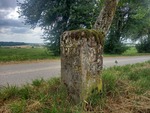 15.07.2025: deutscher Grenzstein am Weg zwischen Scheuerwald und Silwingen