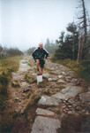 Juli 2003: auf dem Kammweg westlich der Spindlerbaude
