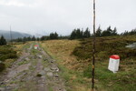 06.05.2015: auf dem Weg zum Glatzer Schneeberg