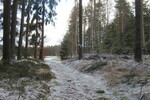 28.03.2023: am Wanderweg von Bad Brambach nach Brendorf