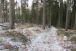 28.03.2023: am Wanderweg von Bad Brambach nach Brendorf